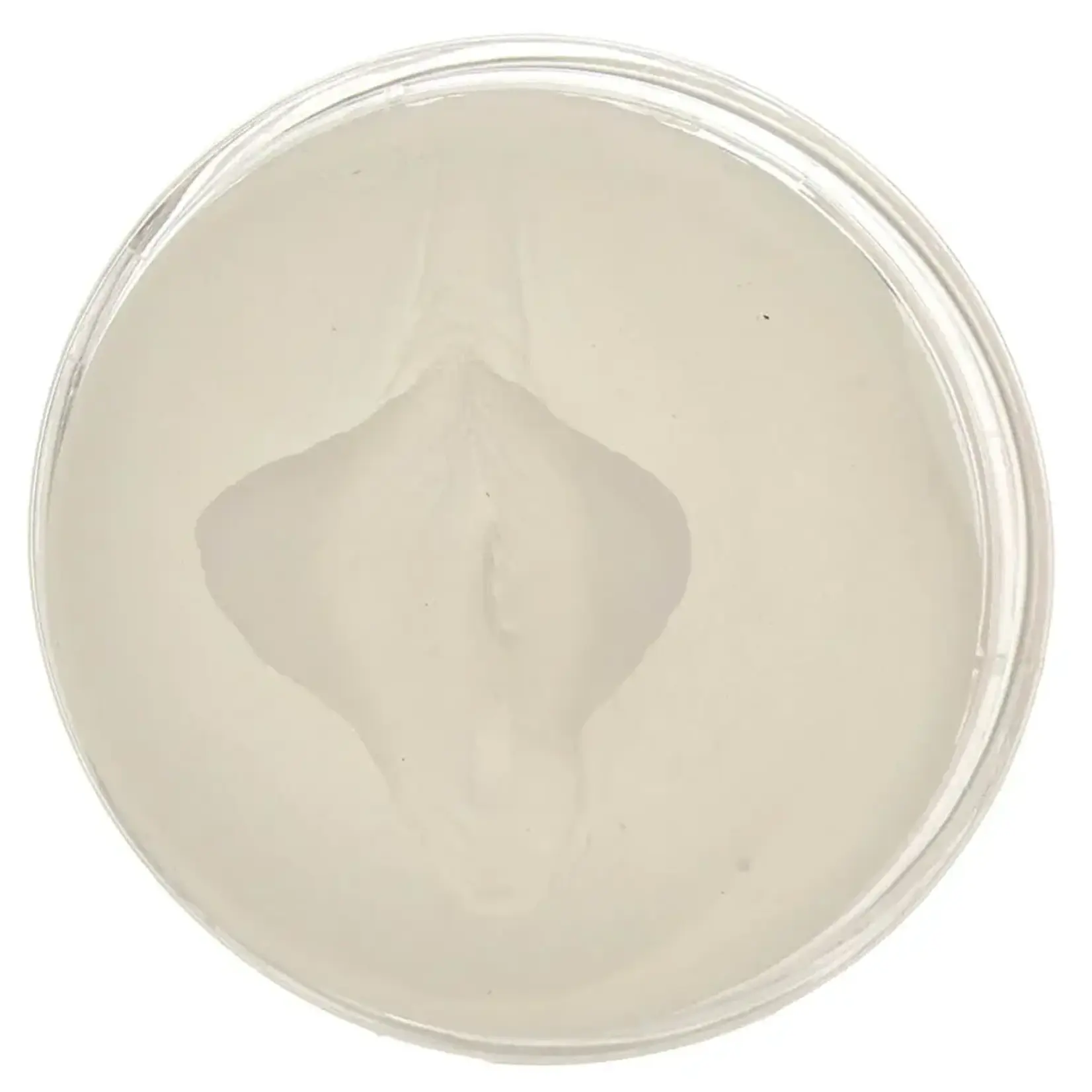 Pipedream PDX Extreme Wet Pussies Super Luscious Lips Self-Lubricating Stroker Frosted