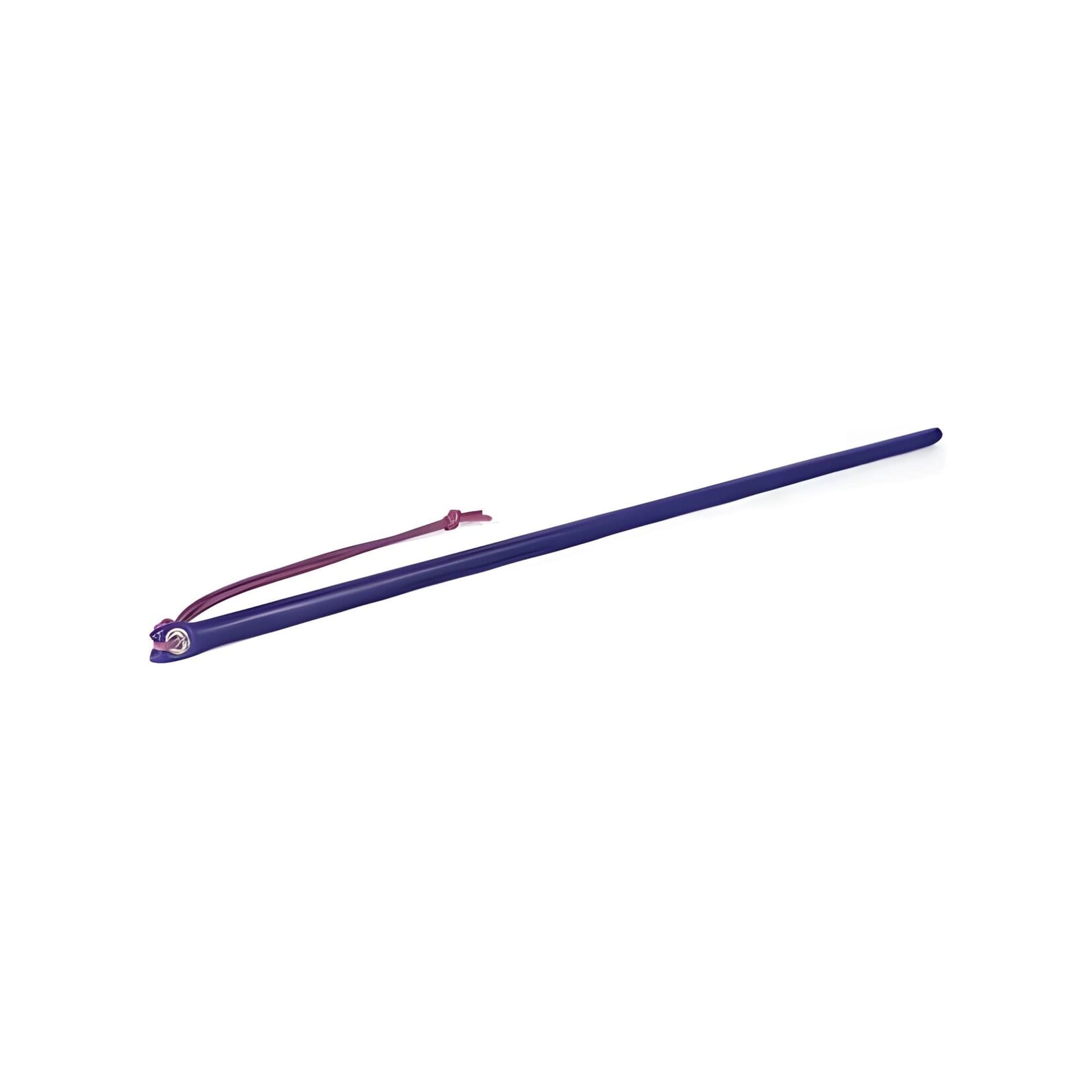 Spartacus 24" Leather Wrapped Cane