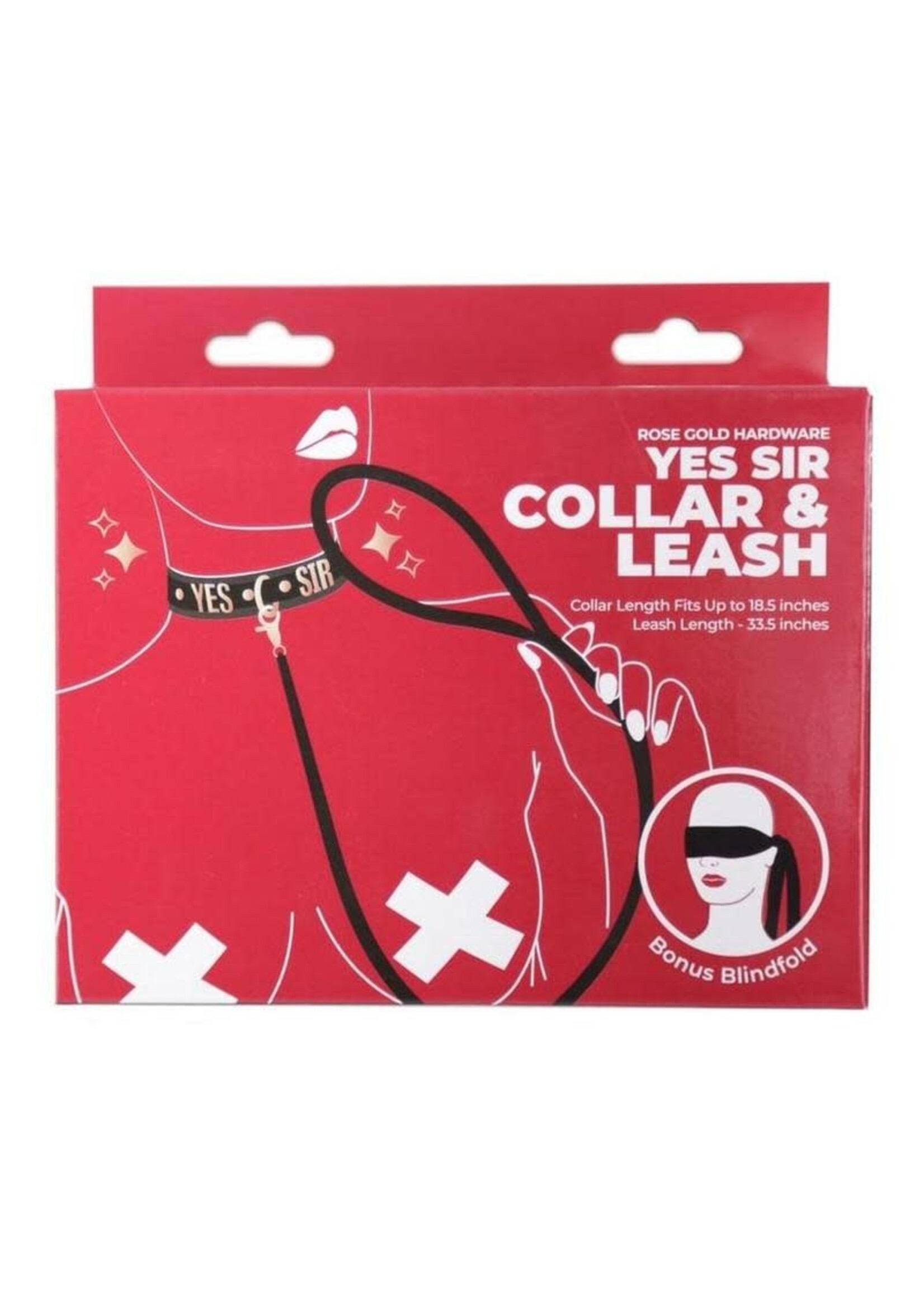 BMS Factory Punishment Yes Sir Collar/Leash - Rose Gold