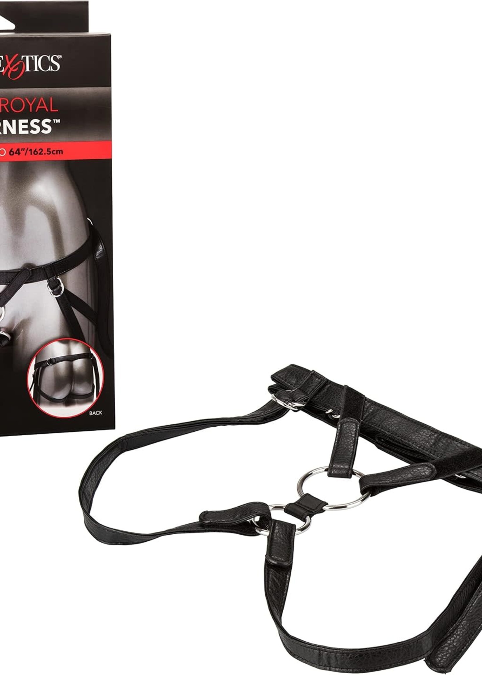 Calexotics Her Royal Harness the Duchess