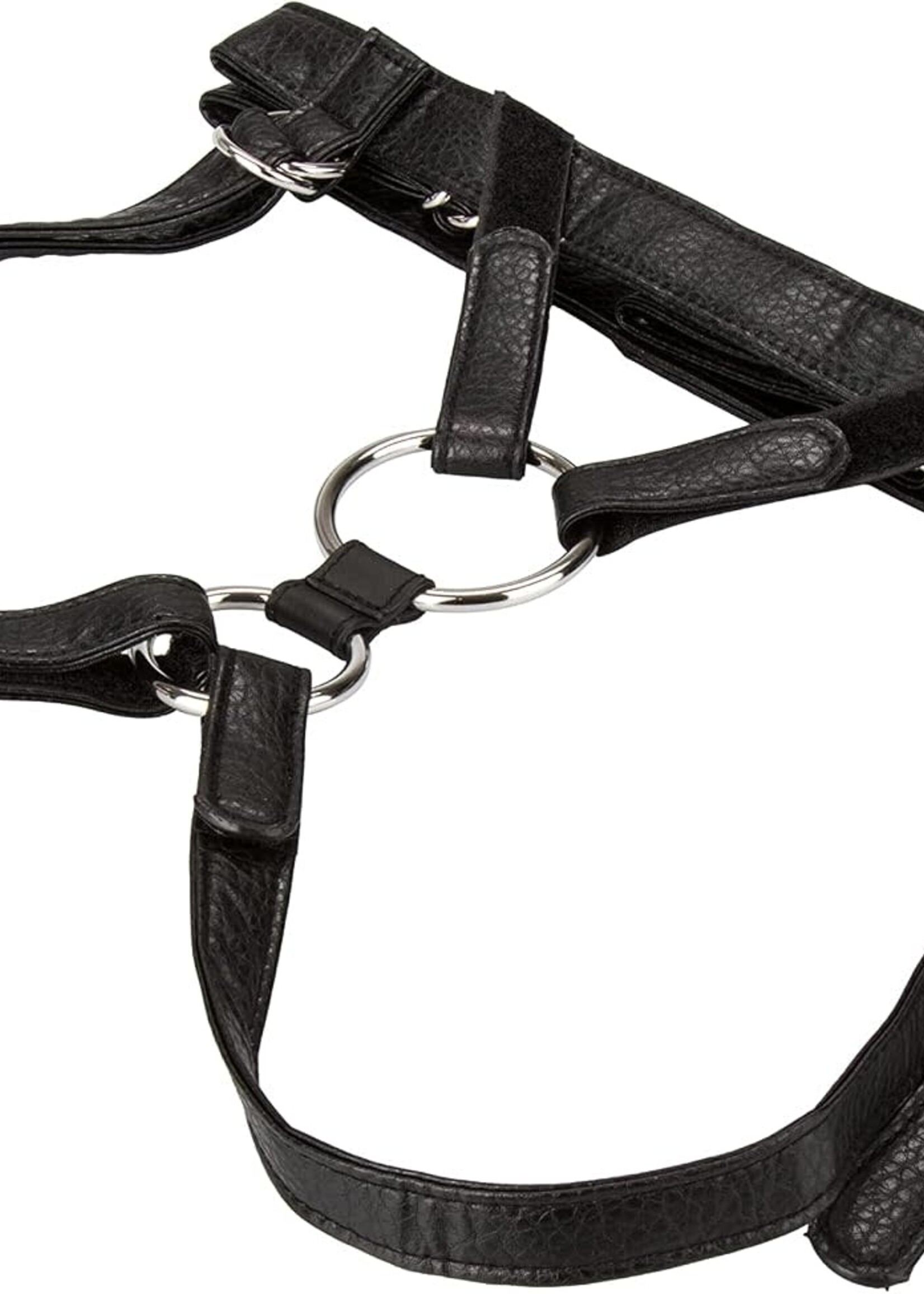 Calexotics Her Royal Harness the Duchess