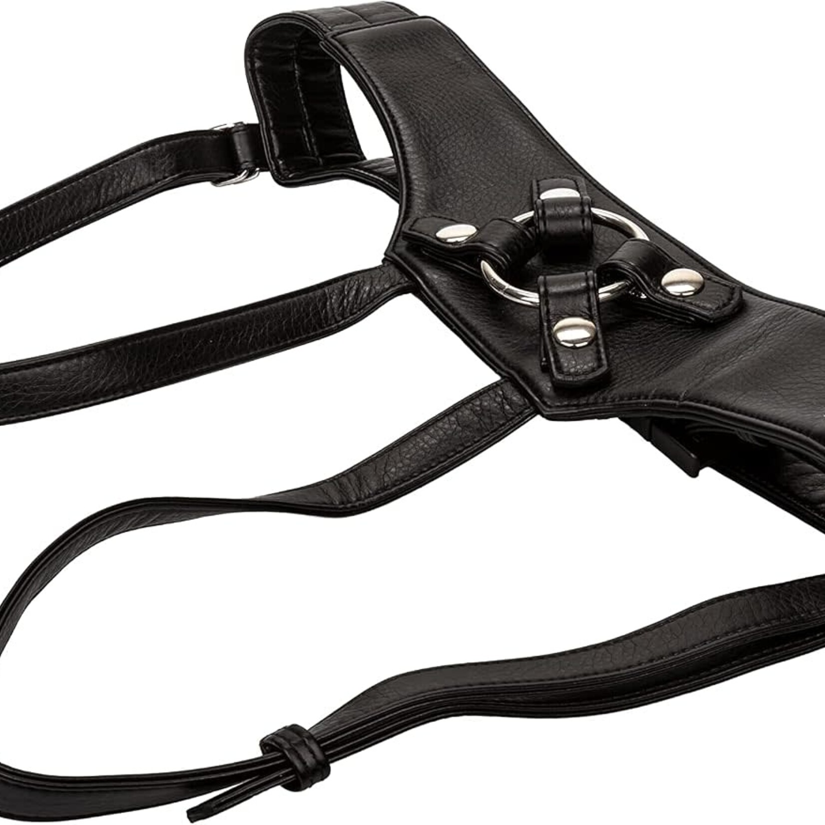 Calexotics Her Royal Harness the Empress