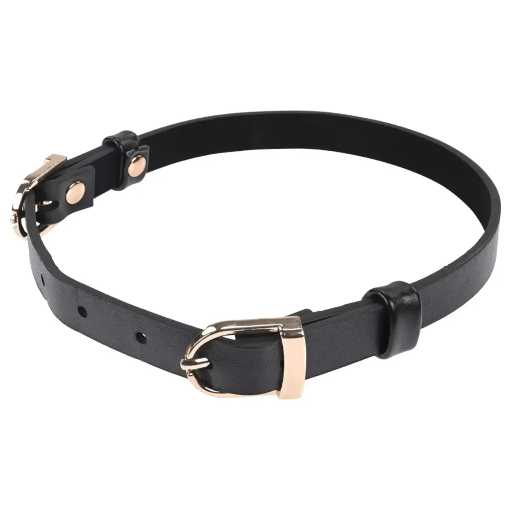 Sportsheets Sex & Mischief Double Buckle Day Collar - Black/Gold