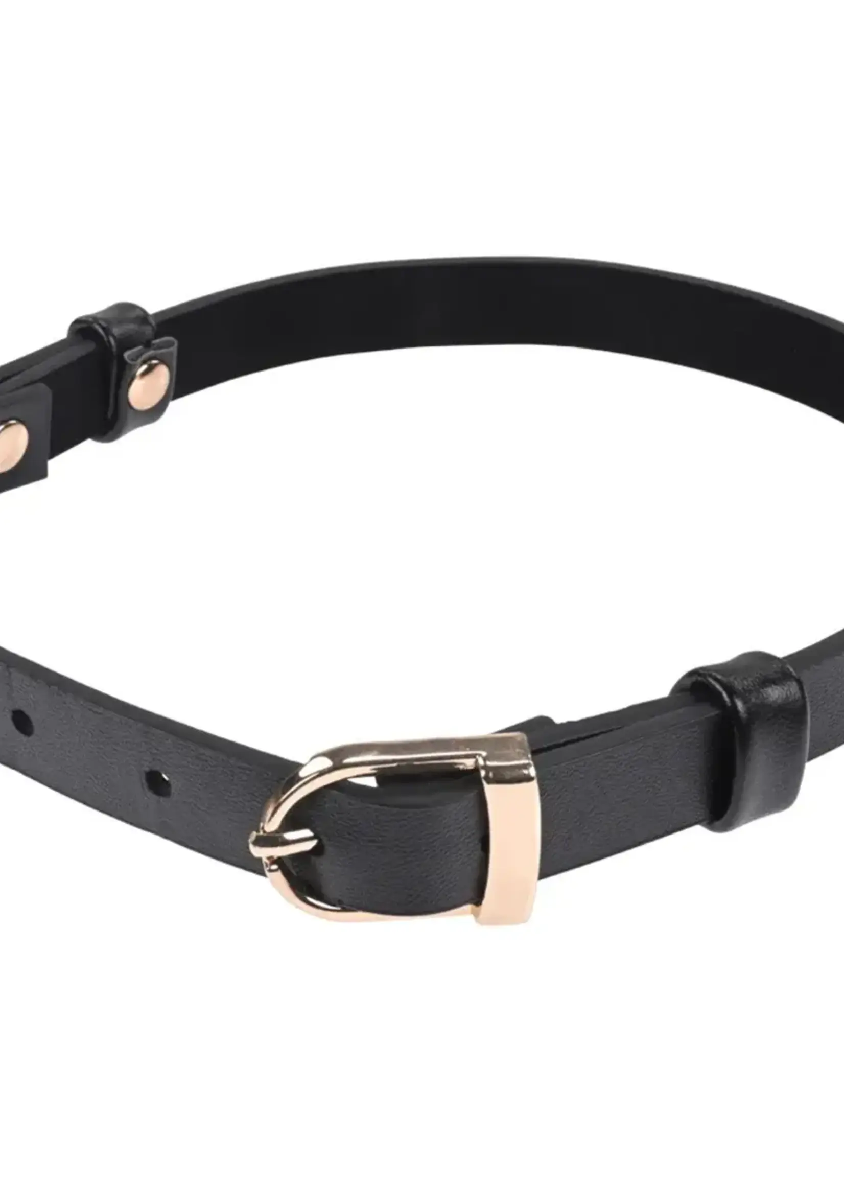 Sportsheets Sex & Mischief Double Buckle Day Collar - Black/Gold