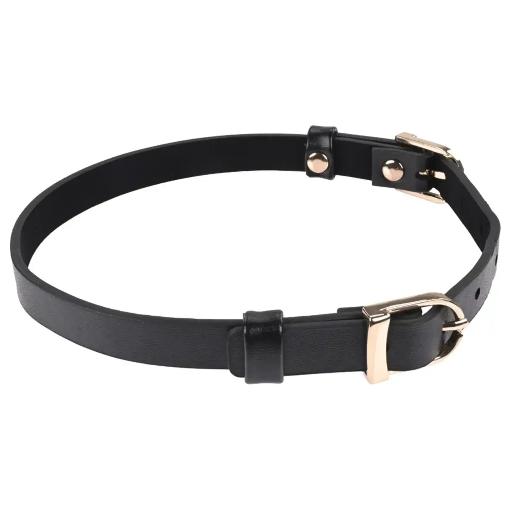 Sportsheets Sex & Mischief Double Buckle Day Collar - Black/Gold