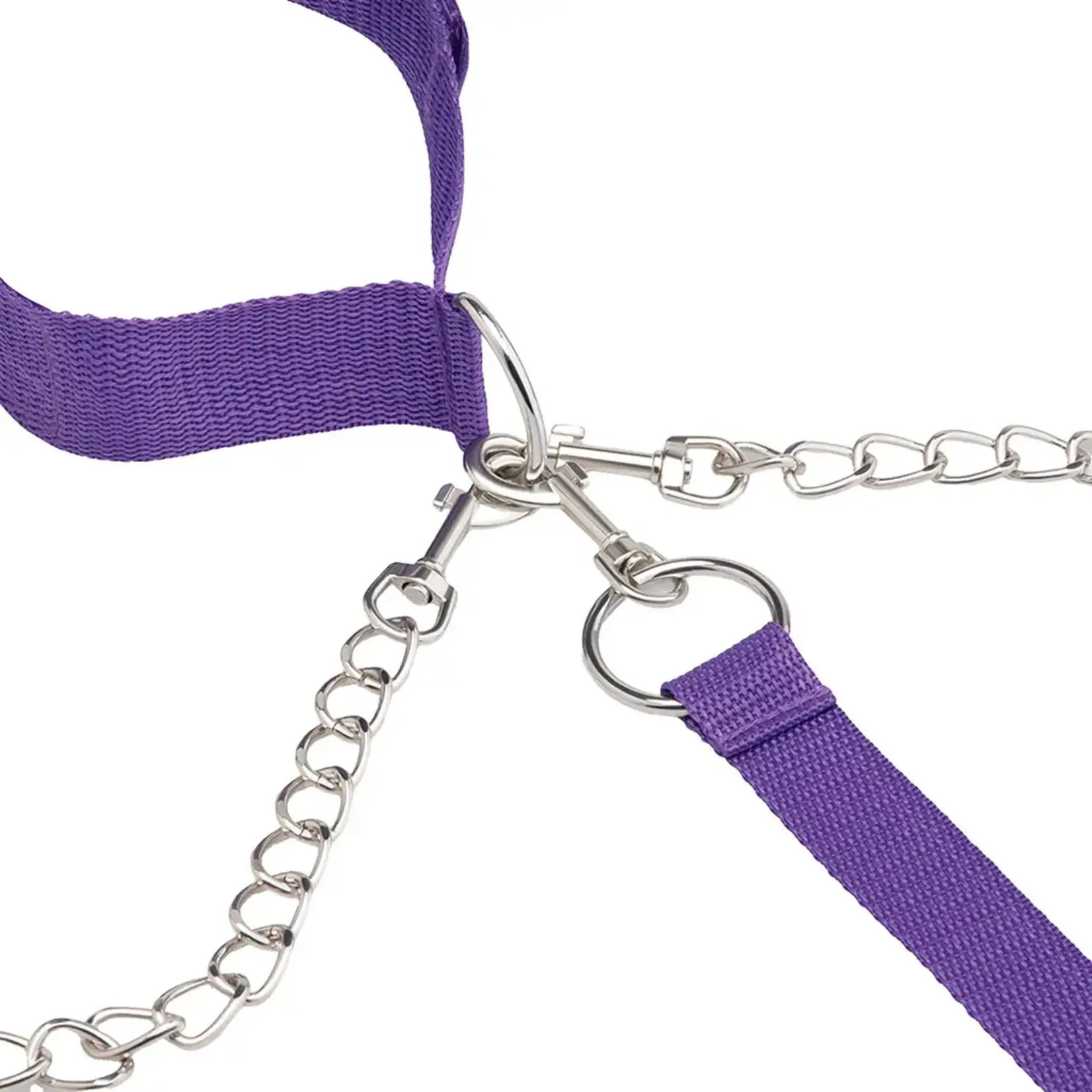 Lux Fetish Collar, Cuffs & Leash Set - Purple