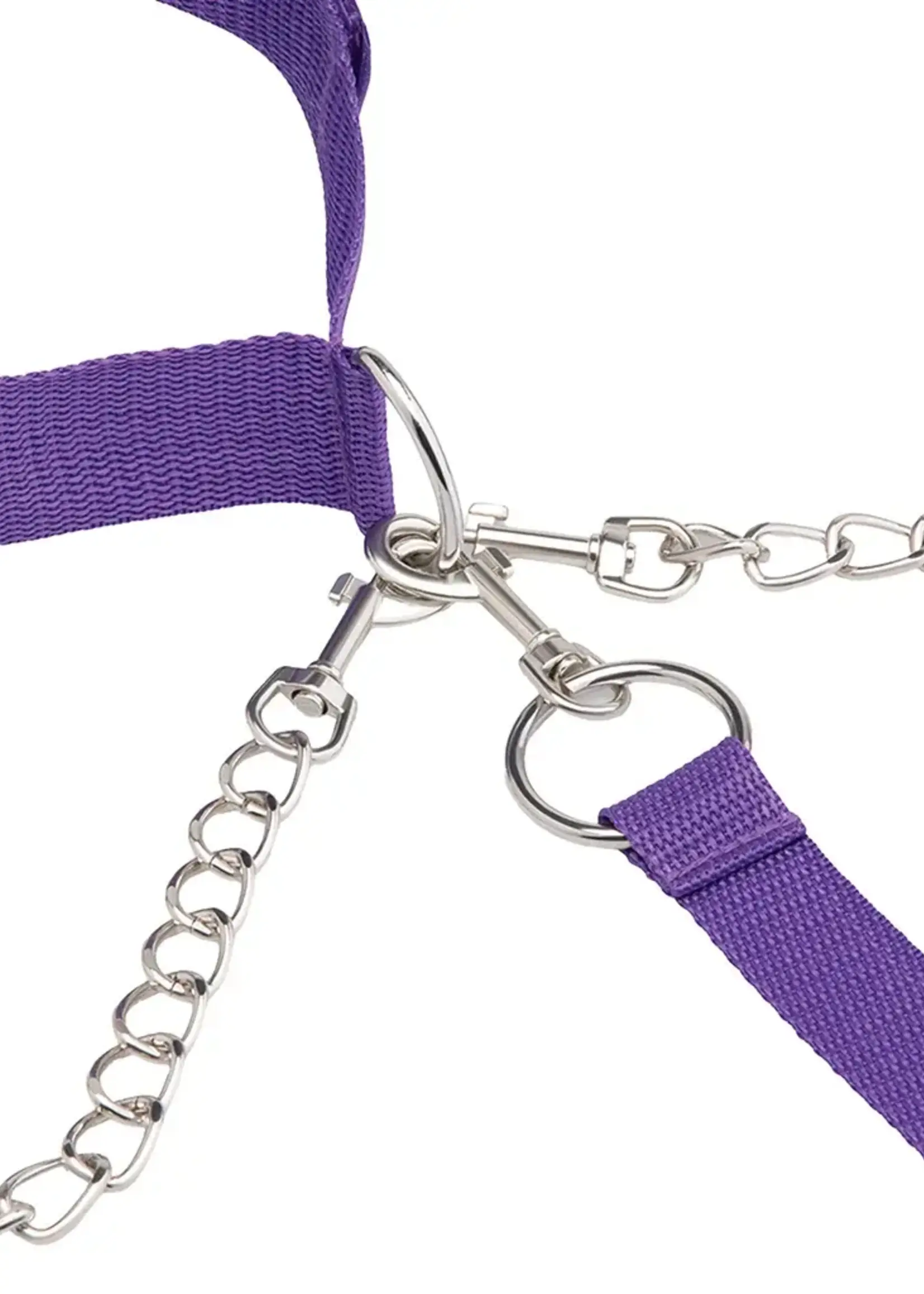 Lux Fetish Collar, Cuffs & Leash Set - Purple