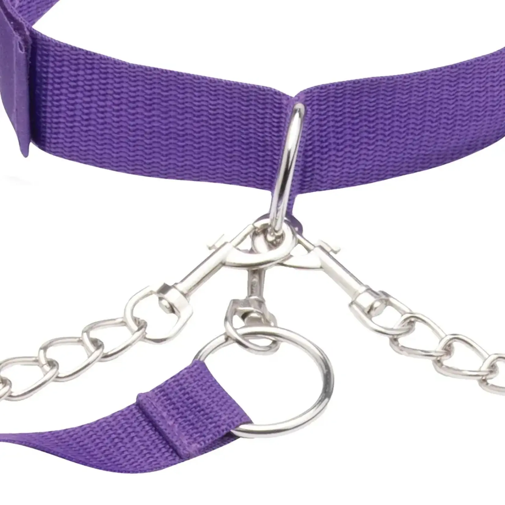 Lux Fetish Collar, Cuffs & Leash Set - Purple