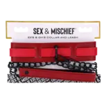 Sportsheets Ex's & Oh's Collar And Leash