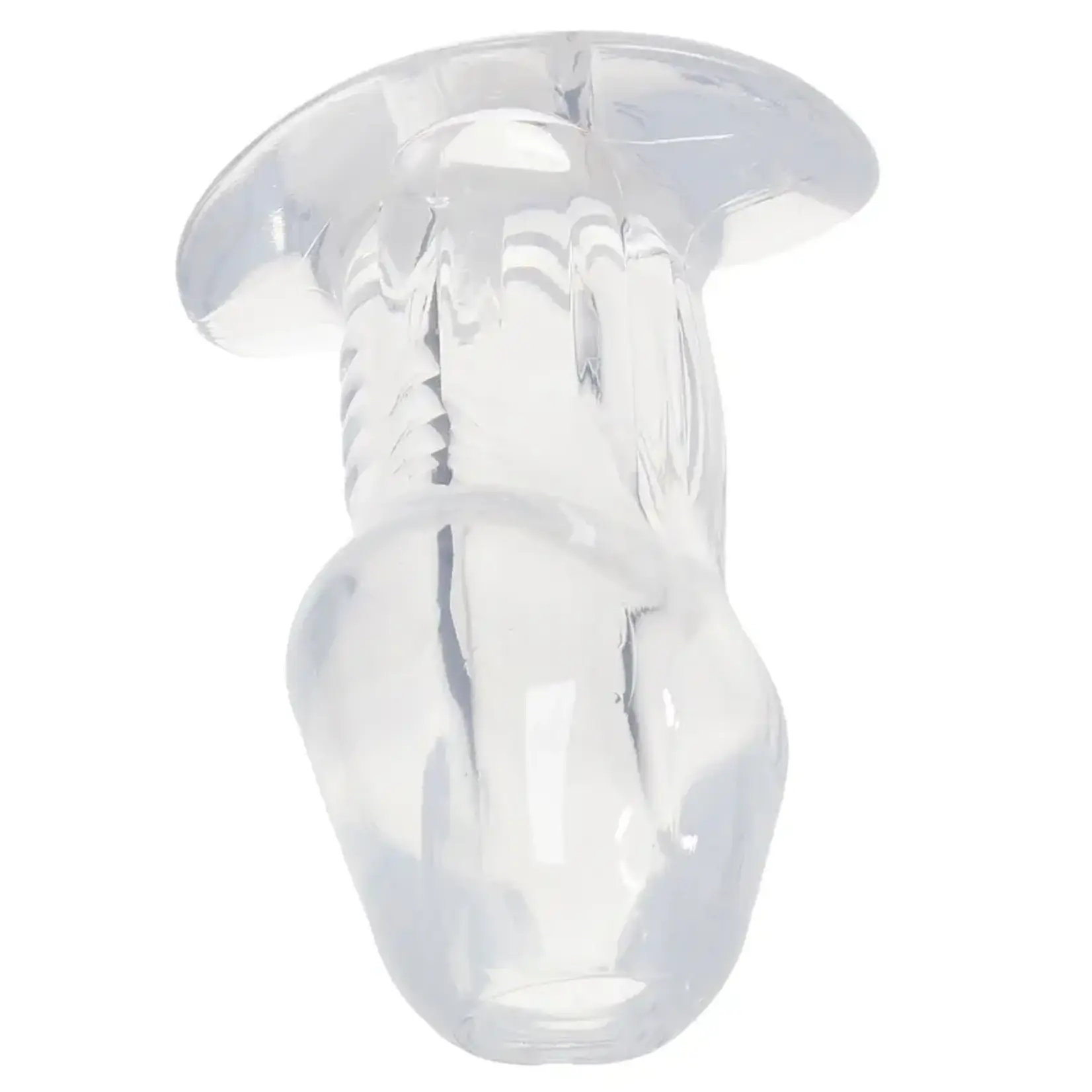 XR Brands Master Series Master Series Dicked Hollow Anal Plug - Clear