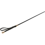 XR Brands Master Series Master Series Sinful Impact Cane - Black/Gold