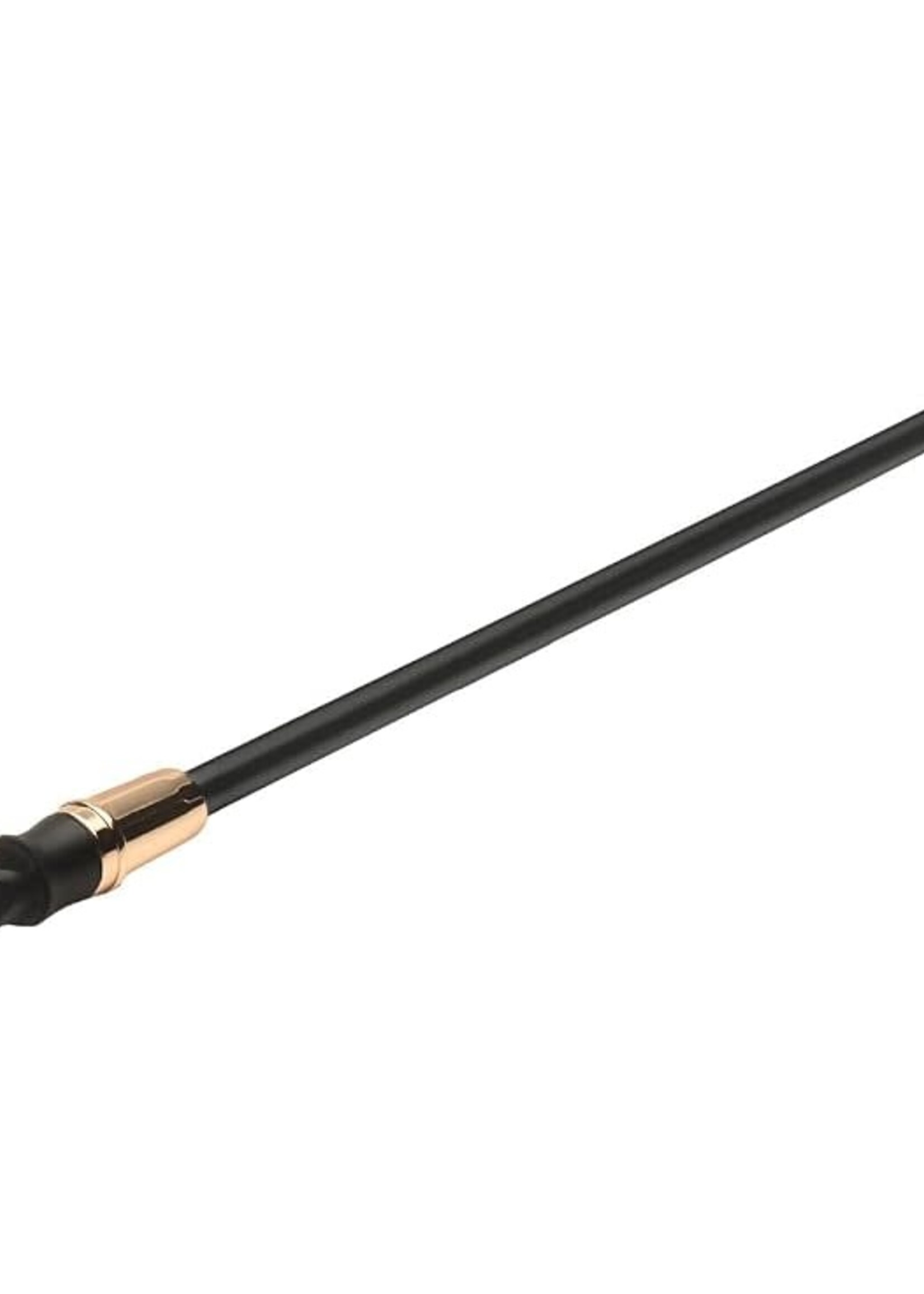XR Brands Master Series Master Series Sinful Impact Cane - Black/Gold