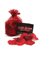 Creative Conceptions You & Me on a Bed of Roses