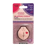 Our Erotic Journey EroRide Pheromone Infused Air Freshener