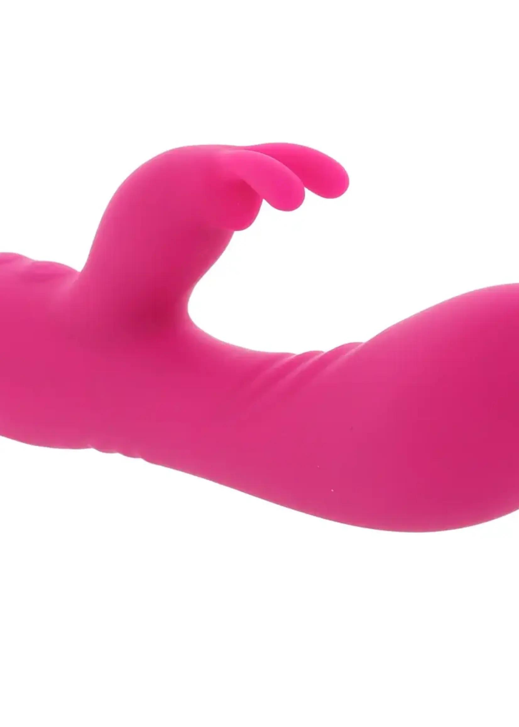 Selopa Selopa Robust Rabbit