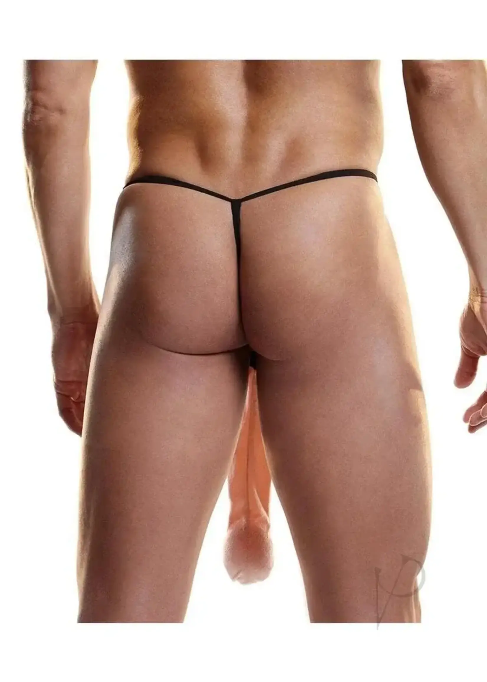 Boyztown Collective Fundies Foot Long Thong With Paper Ruler - O/S - Black