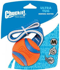 chuck it ultra tug