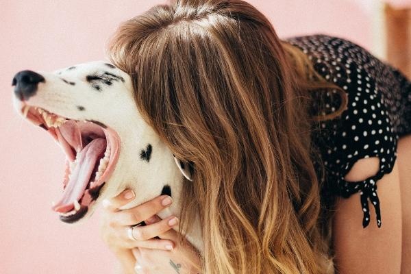 Good Dental Hygiene is a Must for Your Pet's Optimal Health