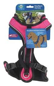 petsafe easy sport
