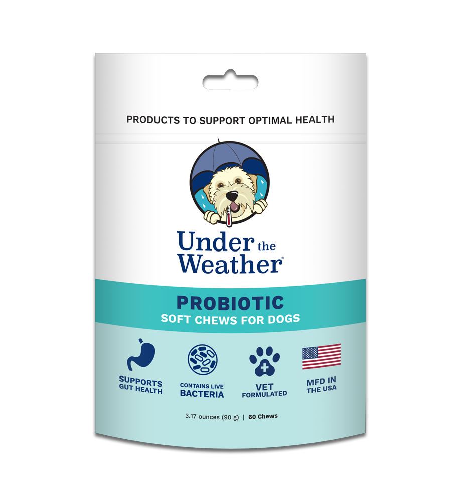 probiotic soft chews for dogs