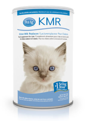 kitten milk powder