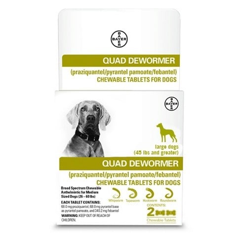 bayer quad medium dog dewormer