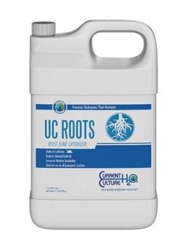 Current Culture Current culture UC Roots 1QT