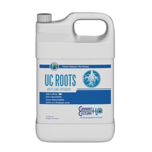 Current Culture Current culture UC Roots 1QT