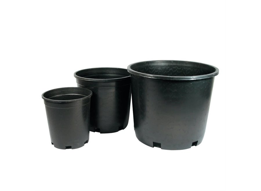 Nursery Pot Black 1 Gal