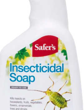 Safers Safers Insecticidal soap 1L spray