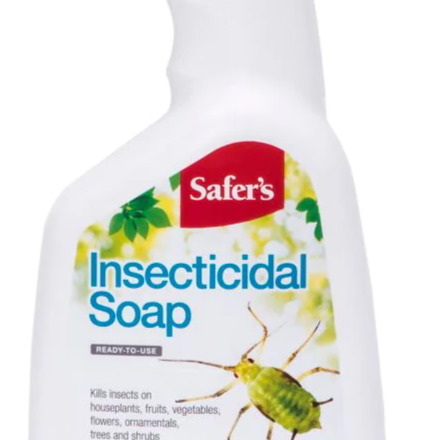 Safers Safers Insecticidal soap 1L spray
