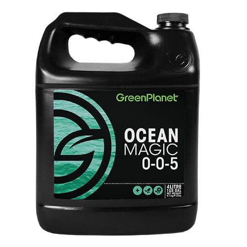 Green Planet Green Planet Ocean Magic Kelp