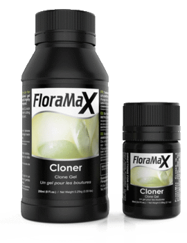 FloraMax FloraMax Cloning Gel