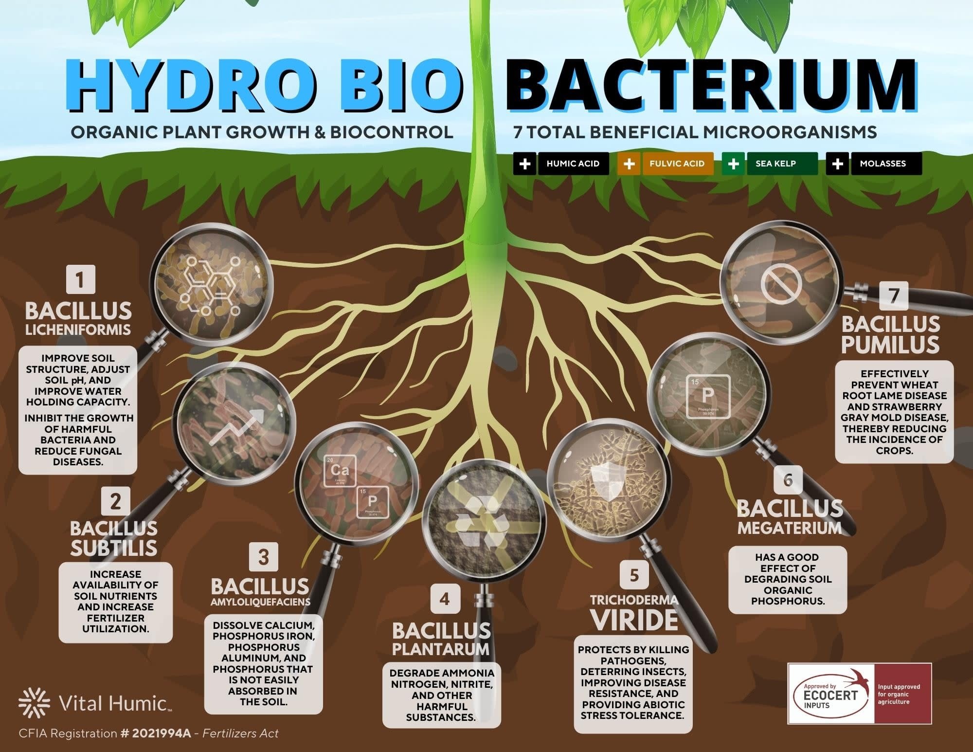 Vital Humic Vital Humic Hydro Bio