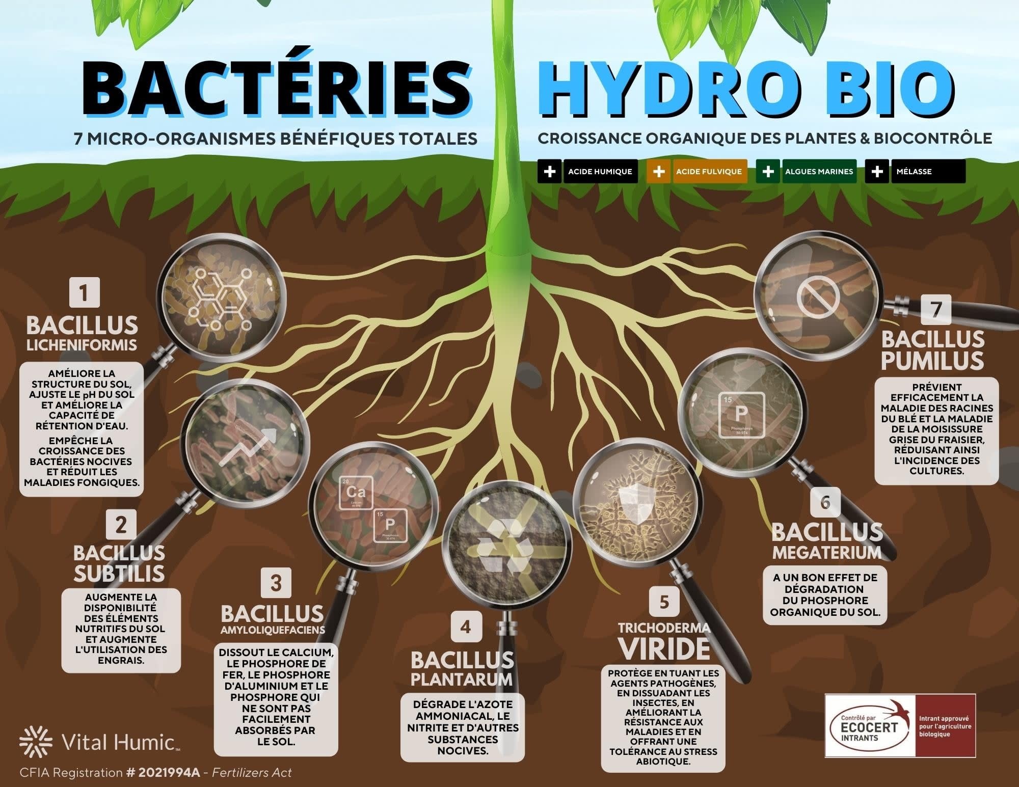 Vital Humic Vital Humic Hydro Bio