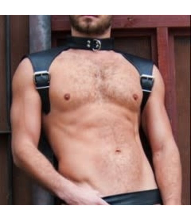 The Combat Leather Harness