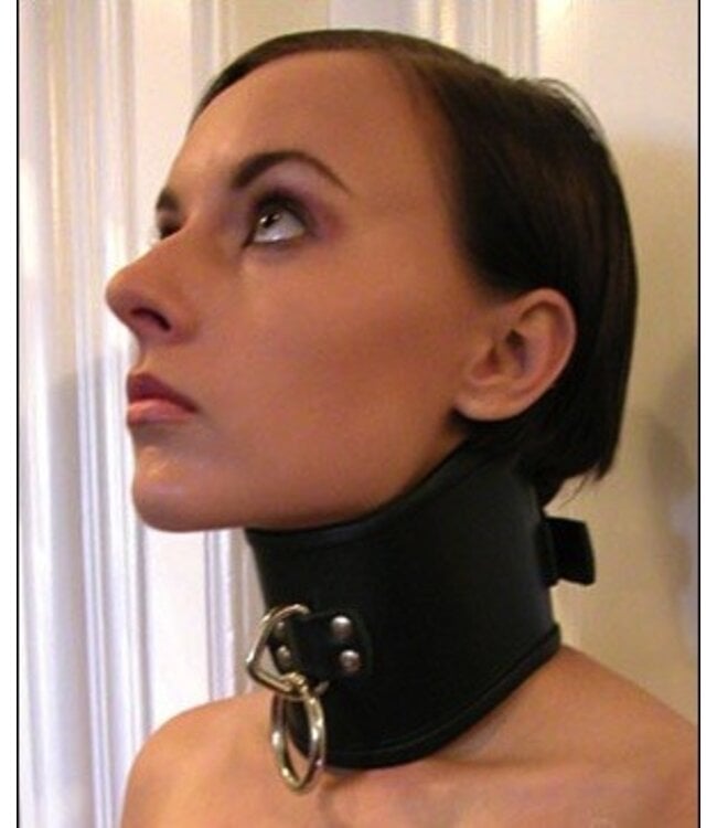 Tall Curved Posture Collars