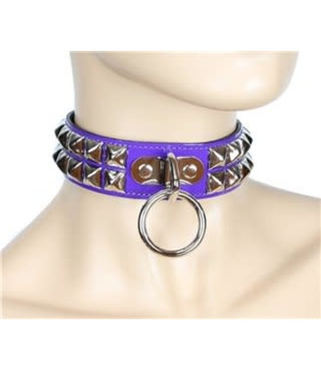 Two Row Studded Shiny Collar