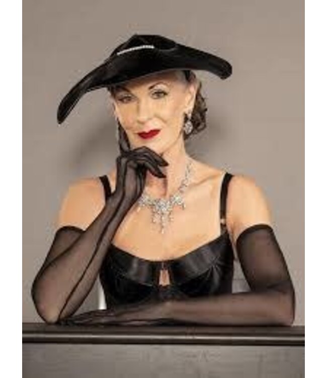 Black Long Sheer Gloves