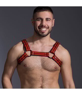 665 Leather Neoprene Racer Bulldog Harness