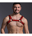 665 Leather Neoprene Racer Bulldog Harness
