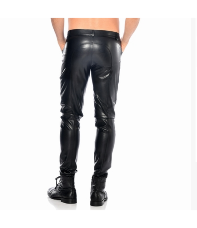 Joss Faux Leather Pants