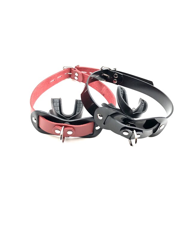 Double Mouth Guard Gag