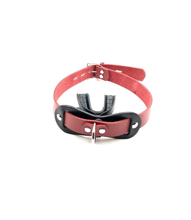 Double Mouth Guard Gag