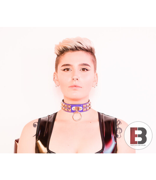 Two Row Studded Shiny Collar