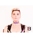 Two Row Studded Shiny Collar