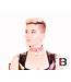 Two Row Studded Shiny Collar