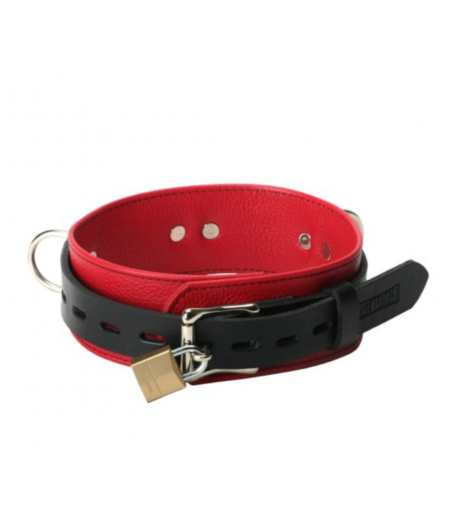 Deluxe 3D ring  Collar