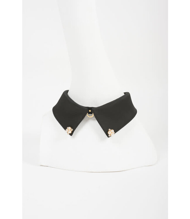 Noir Satin Collar & Leash | Luxury Kink