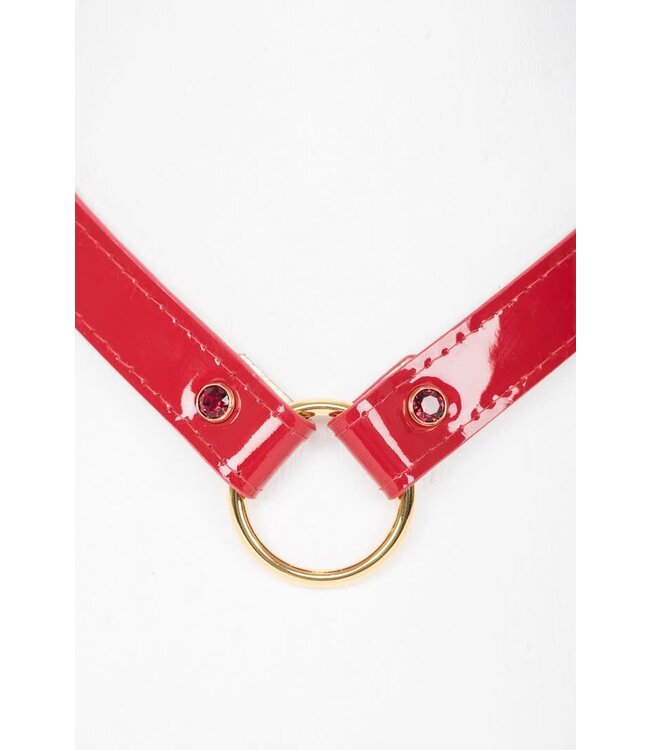 Red Hot Collar and Leash | Luxury Kink